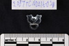 Triratna Bead