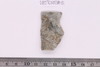 Bangle fragment