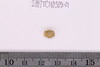 Gold glass Beads