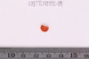 Beads fragment