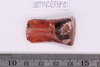 Beads fragment