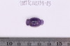 Beads fragment