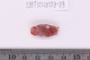 Pre-formed rough out Beads