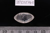 Pre-formed rough out Beads