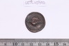 Conch Shell-Sriwatsa Coin