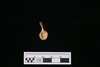 Gold Pendant