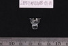 Triratna Bead