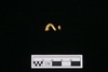 Gold split-ring