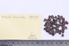 Material fragment