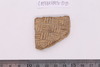 Sherd