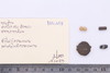 Mixed object in packaging