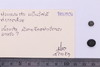Inscription