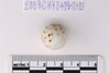 Material fragment