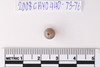 Stone Bead