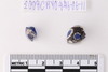 Beads fragment