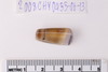 Stone Bead
