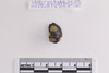 Beads fragment