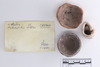 Mixed object in packaging