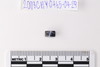 Stone Bead