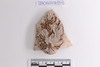 Sherd