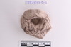 Sherd