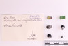Mixed object in packaging