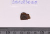 Pre-formed rough out Beads