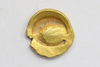 Gold coin