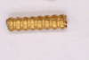 Gold Bead