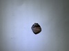 Special Bead