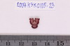 Triratna Bead