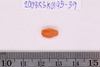 Pre-formed rough out Beads