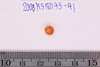 Pre-formed rough out Beads