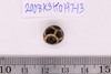 Bleached/Etching Bead