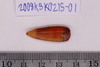 Stone Bead