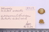 Mixed object in packaging