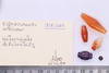 Mixed object in packaging