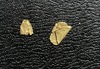 Gold leaf