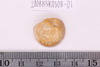 Beads fragment