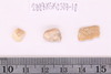 Fragments