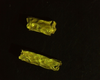 Gold tube