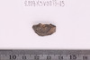Spindle Whorl