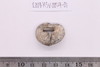 Gold split-ring