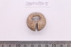 Gold split-ring