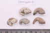 Gold split-ring