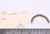 Bangle
