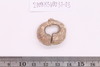 Gold split-ring