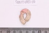 Gold split-ring
