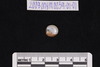 Intaglio & Cameos