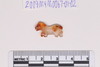 Pre-formed rough out Beads